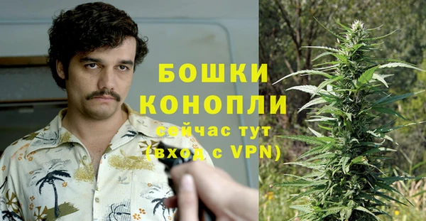 ПСИЛОЦИБИНОВЫЕ ГРИБЫ Алзамай
