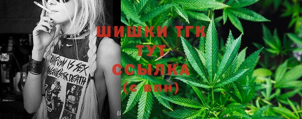 ПСИЛОЦИБИНОВЫЕ ГРИБЫ Алзамай