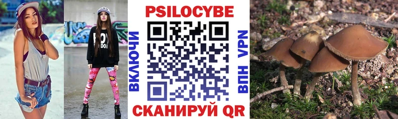 Псилоцибиновые грибы MAGIC MUSHROOMS  darknet какой сайт  Судак  где купить  
